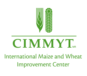 cimmyt